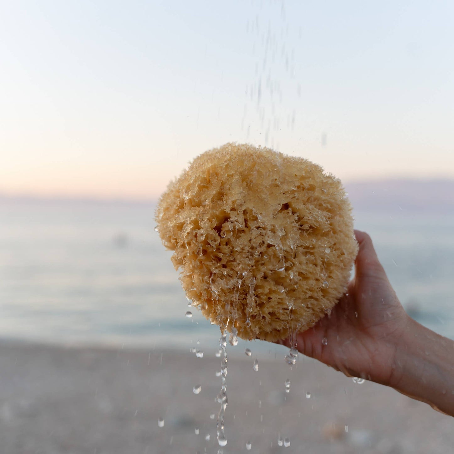Natursvamp från havet